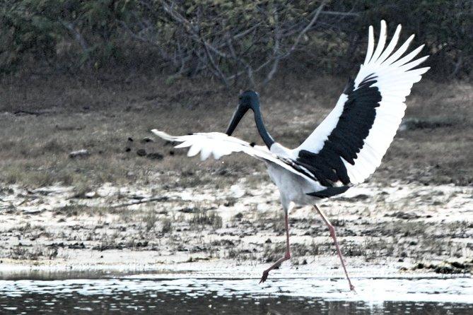 Bundala National Park